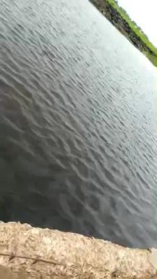 L'inondation au village