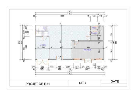 PROJET DE R+1